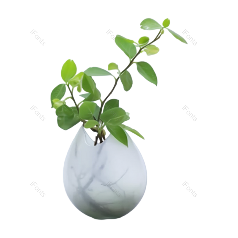 叶子图片,摄影元素,白色背景PNG,简单免抠素材